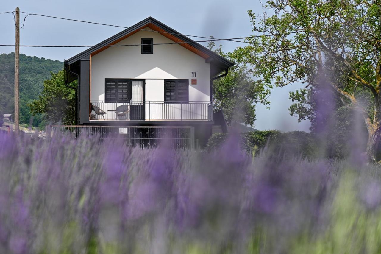 Vacation Home - Nest Kalnik Esterno foto