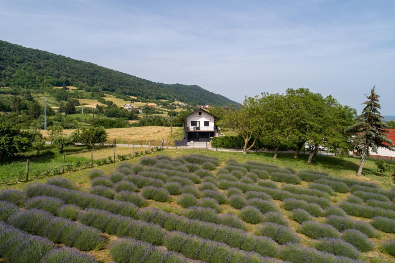 Vacation Home - Nest Kalnik Esterno foto