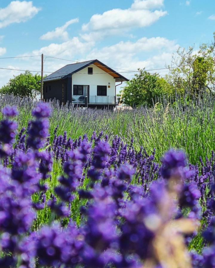 Vacation Home - Nest Kalnik Esterno foto