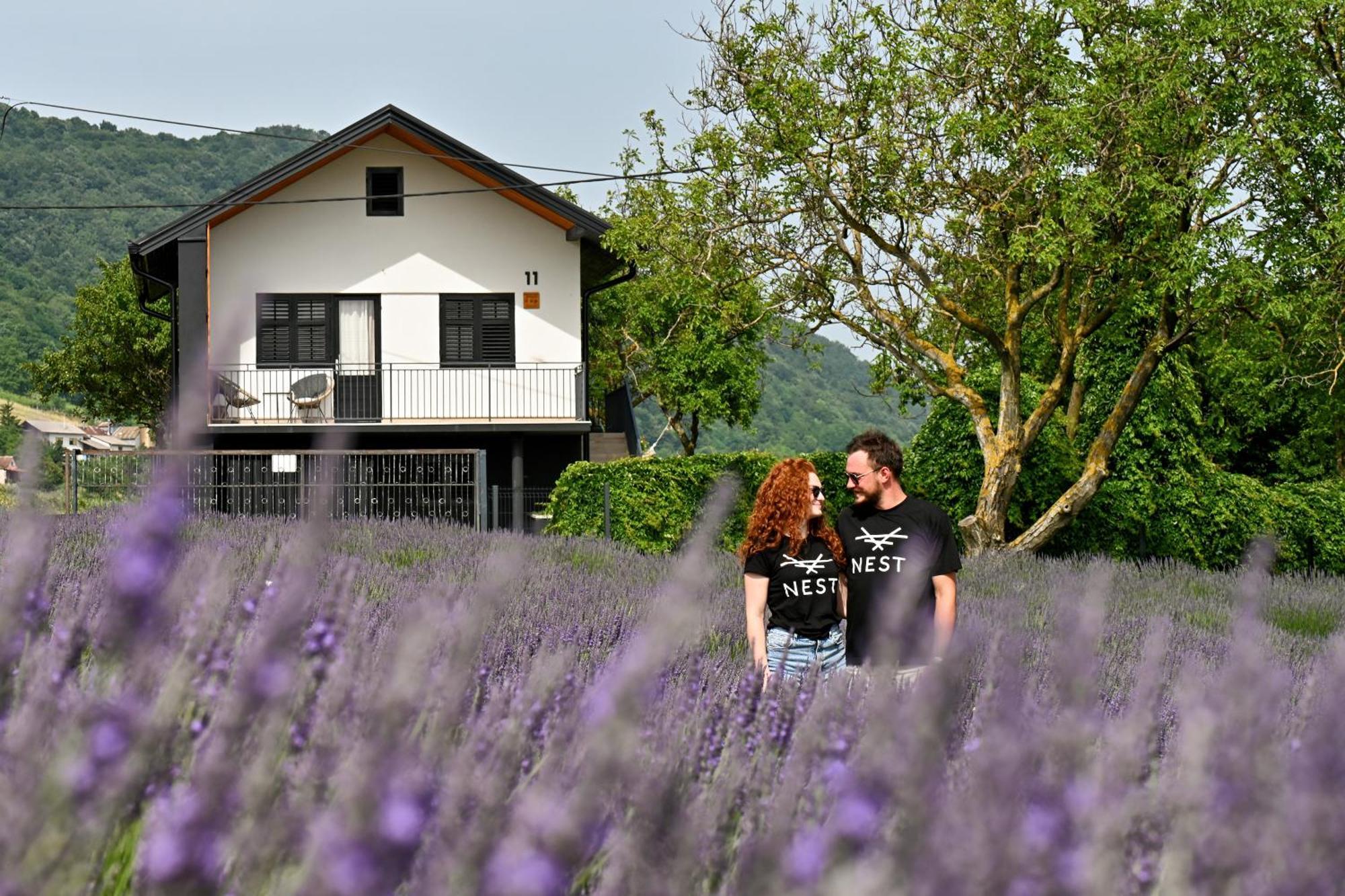 Vacation Home - Nest Kalnik Esterno foto